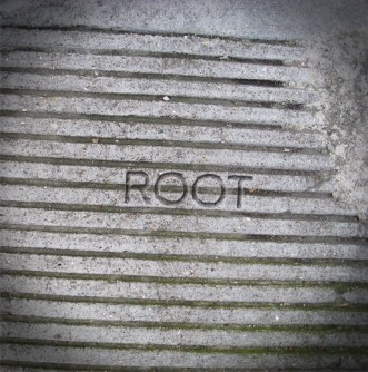 root
